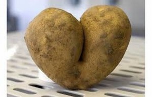 Harris Farm's Imperfect Picks won&rsquo;t be rejected for having a small blemish, a weird shape, or a funny lump.